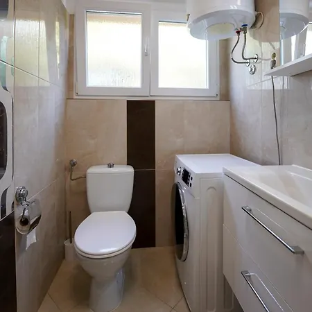 Lori *